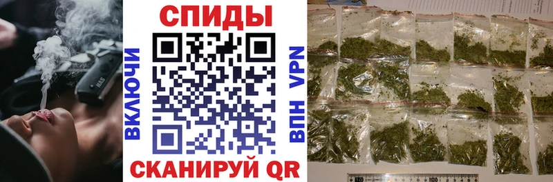 маркетплейс состав  Камышин  Бутират оксана  закладка 