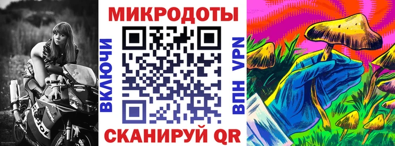 купить наркоту  Камышин  Галлюциногенные грибы прущие грибы 